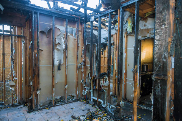 Professional Fire Damage Removal technician working in Painted Post, NY